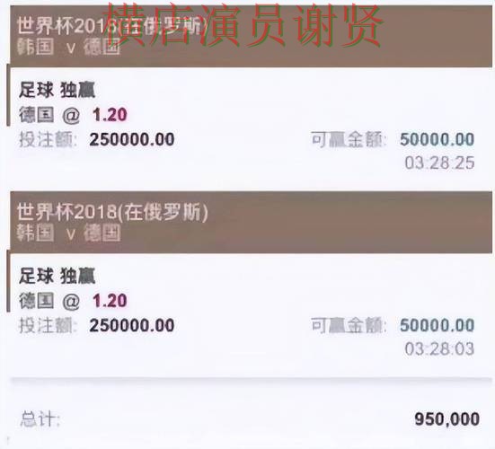 世界杯直播背景下的世界杯投注平台推荐精选与真实体验 世界杯直播背景下的世界杯投注平台推荐精选与真实体验
