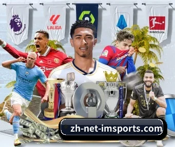 im体育 APP | IM SPORTS